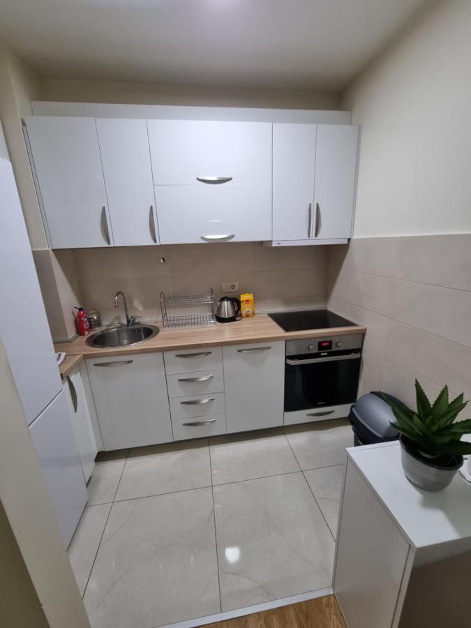 Riverside Apartment Podgoriçe Dış mekan fotoğraf